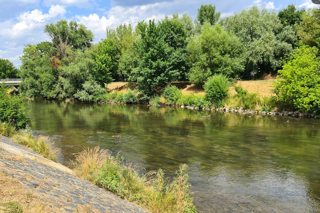 Cyklostezka u Svratky