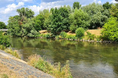 Cyklostezka u Svratky