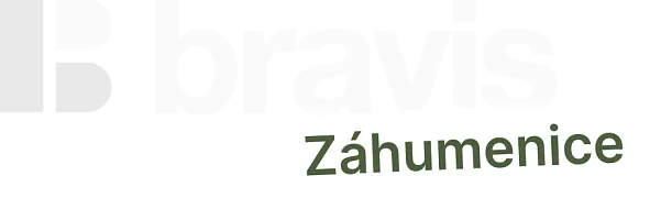 BRAVIS REALITY s.r.o.